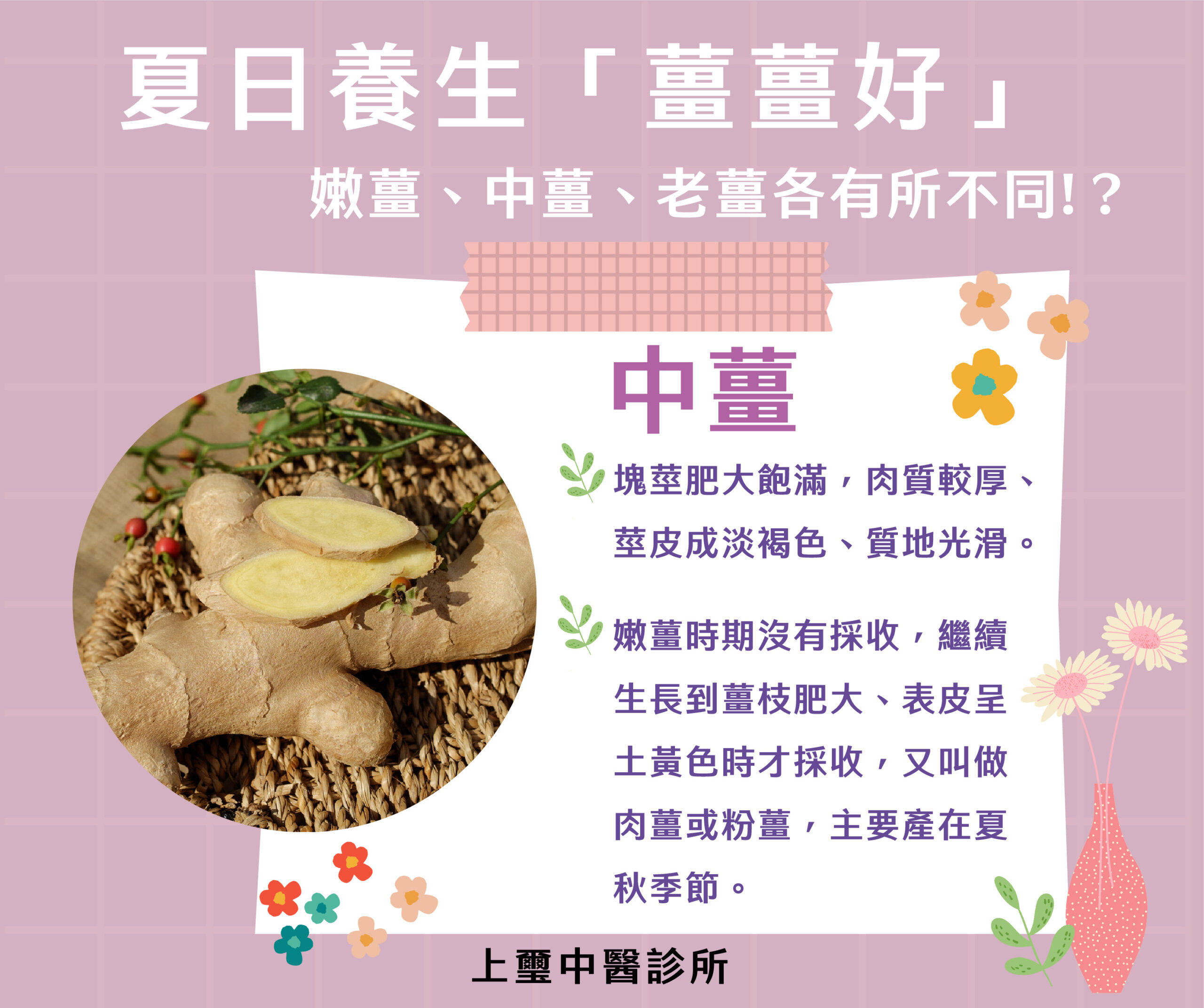 薑酮醇和薑烯酚是薑的成分,它們能夠促進血液循環,讓我們的身體保持溫暖,這在夏天尤其重要。此外,夏天也是細菌和病毒大量繁殖的季節,但薑有著天然的抗菌作用,對於消除腸胃不適很有幫助。