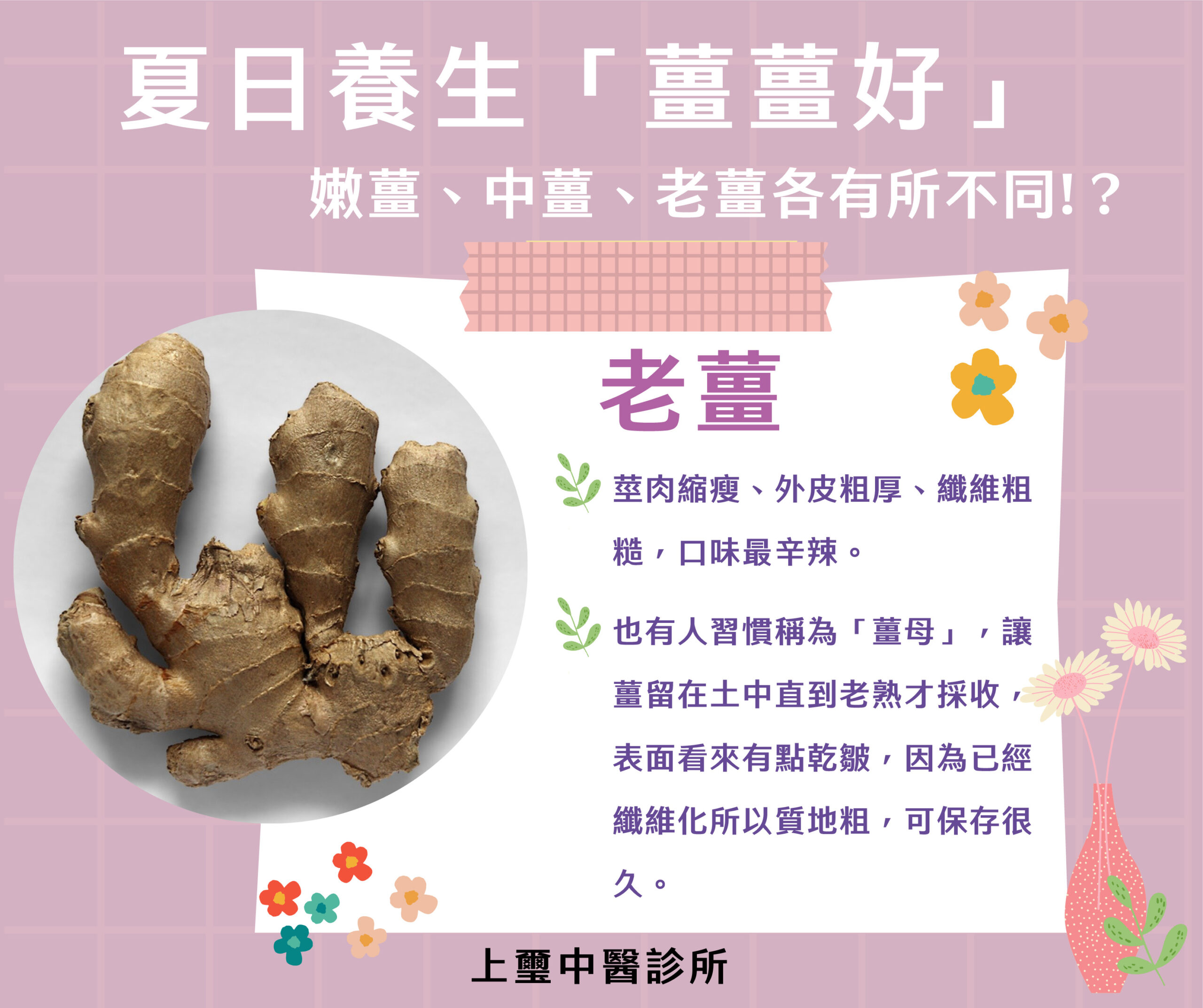 薑酮醇和薑烯酚是薑的成分,它們能夠促進血液循環,讓我們的身體保持溫暖,這在夏天尤其重要。此外,夏天也是細菌和病毒大量繁殖的季節,但薑有著天然的抗菌作用,對於消除腸胃不適很有幫助。